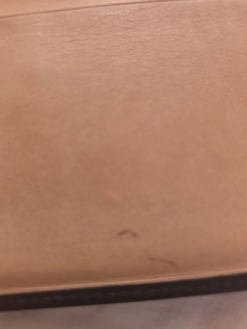 Coach Vintage Buckle Wallet